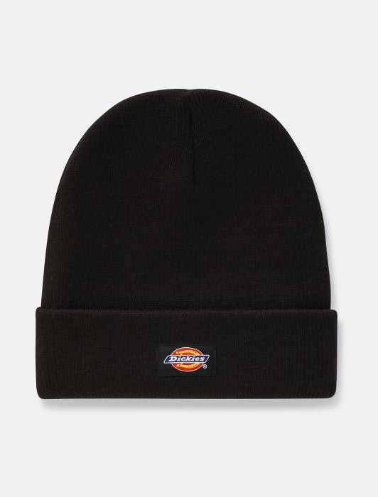 Cappello Dickies